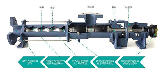 單螺桿泵結(jié)構圖
